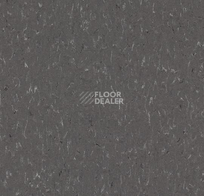 Линолеум Forbo Marmoleum Solid Piano 3607-360735 grey dusk фото 1 | FLOORDEALER